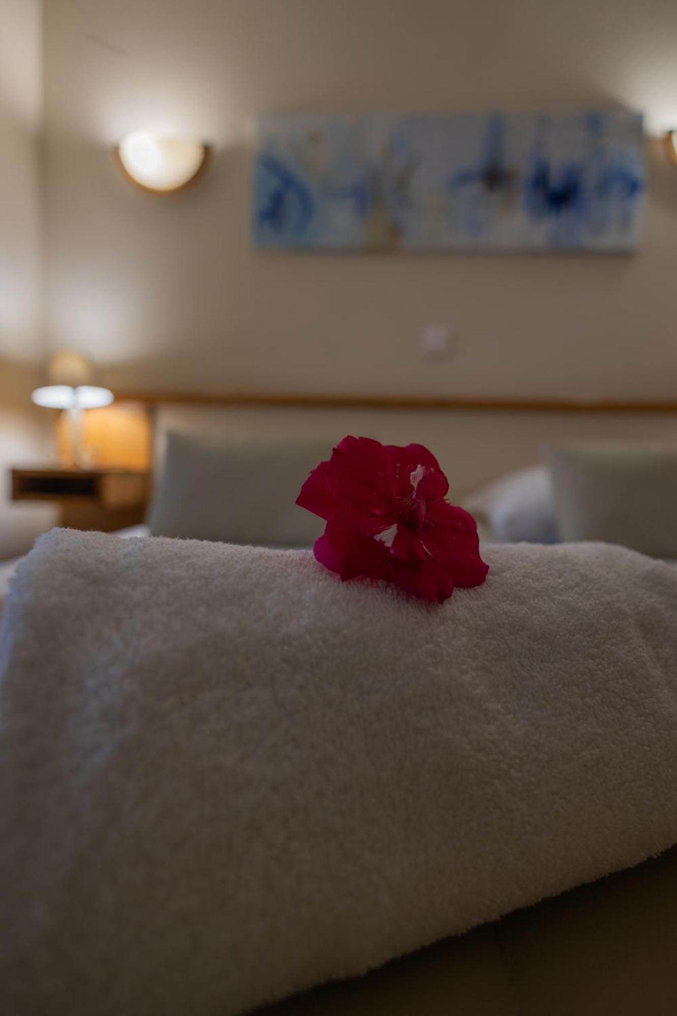 Logis Des Cretes De Pignols Hotel Moissac Kültér fotó